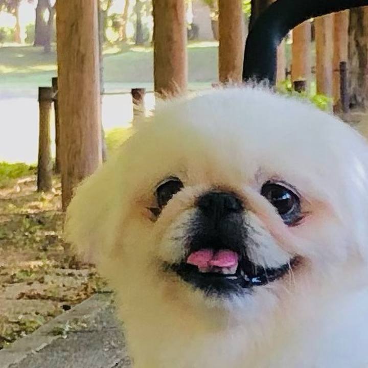 D354057f 2eea 46df 8c44 044e0a4ed057 1632010213871