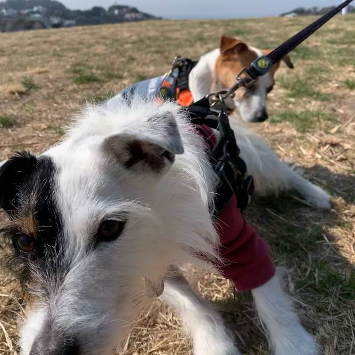 D3540828 3588 45b9 a25c 31868bc3a25d 1646961182366