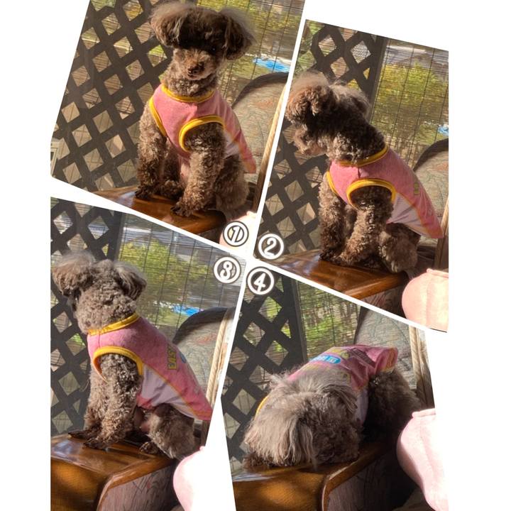 D35444ec 714c 469a b8dc 3cfe0bff8155 1588804041030