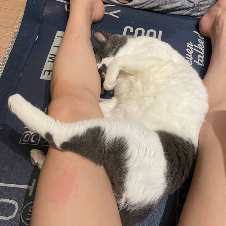 D354927c 045d 4558 9e10 77172622fb1b 1726232938155