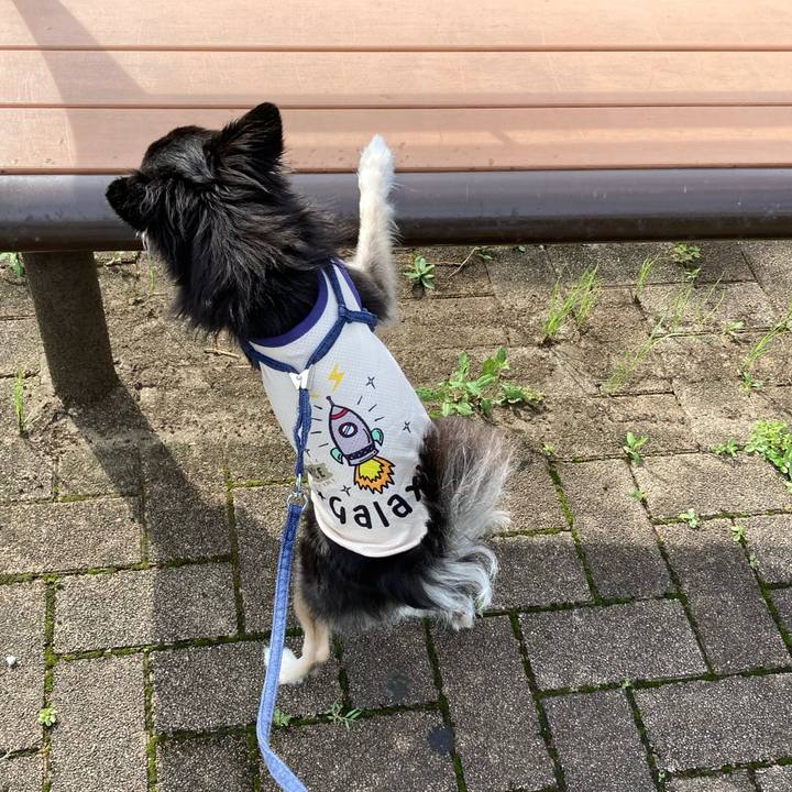 D354a1ad 9866 489f ae54 eff8922115b1 1685851225743