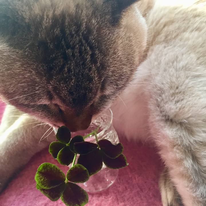 D354af9e 7133 4e3f 960d f3e6e89eb36e 1579304947192