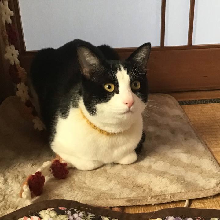 D354ba21 bd45 4326 9d2e 361a109d9c5a 1649109884912