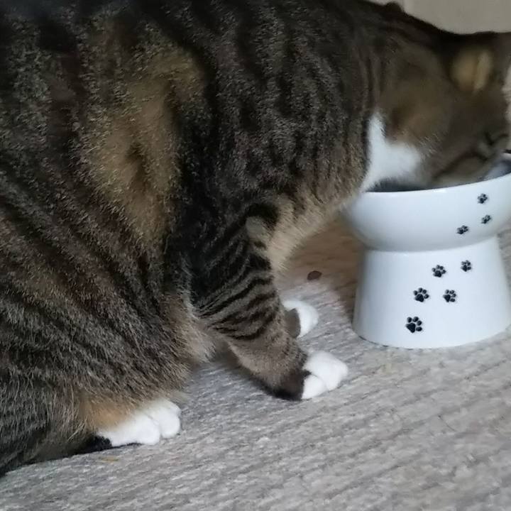 D354c46a adc8 4090 a1cc 945839bc8d6f 1623917304982