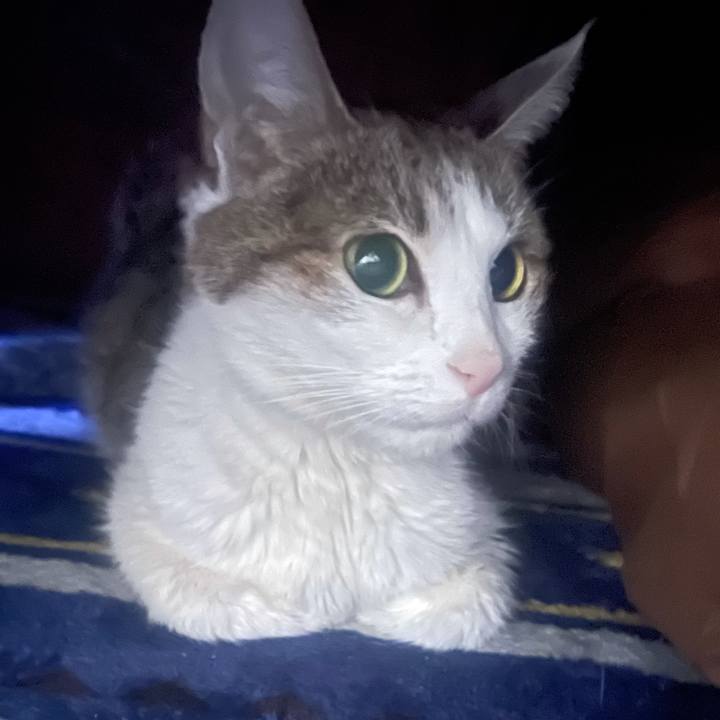 D354cbb8 3d93 48ae a890 a64259179c10 1642034944004