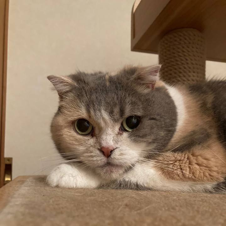 D35502bd 6a17 4b73 b6bf 8bc552a7f10a 1683877302026