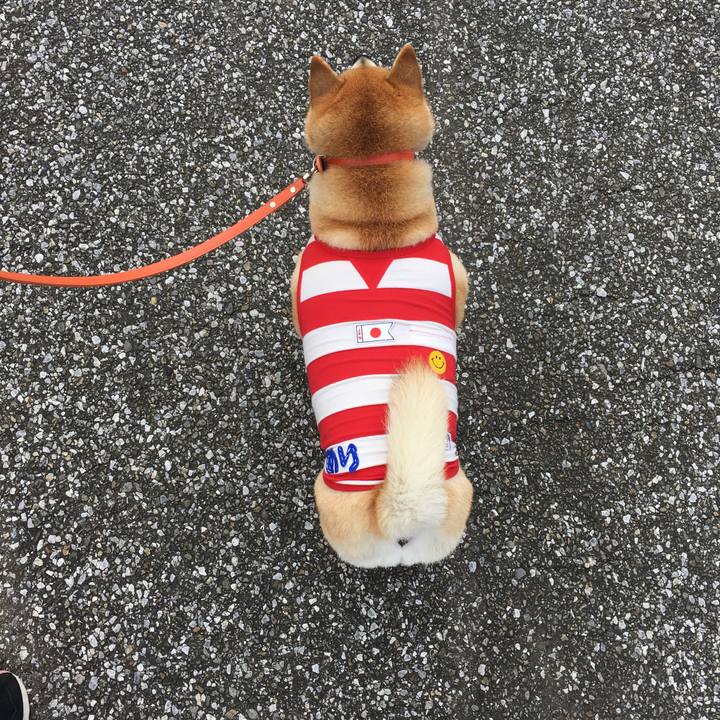 D355276d c39e 4351 8f0d a9709d874f43 1571541438771