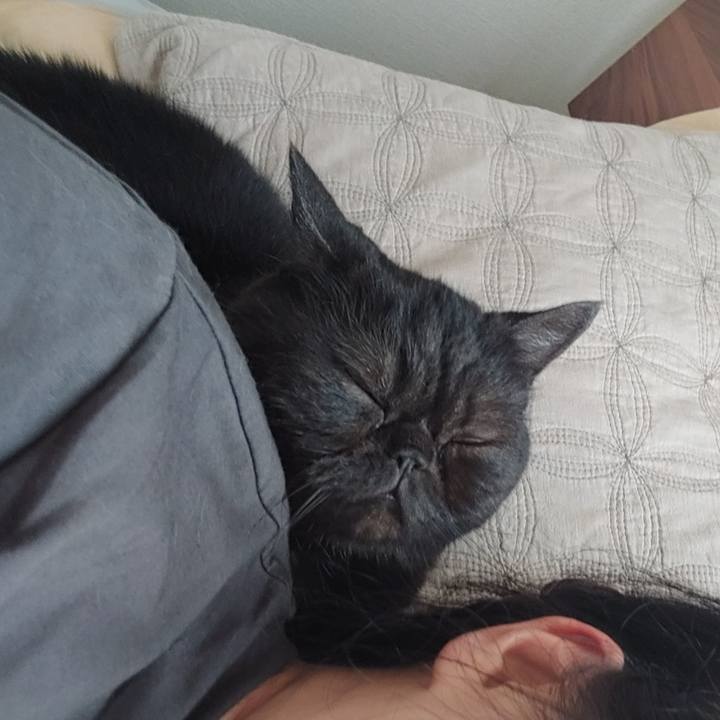 D355281a 16c7 4449 a339 a0f8c4247546 1628409745233