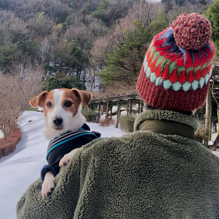 D3552c6f 6f4c 42b5 b525 840ba04c1e0f 1736622721701