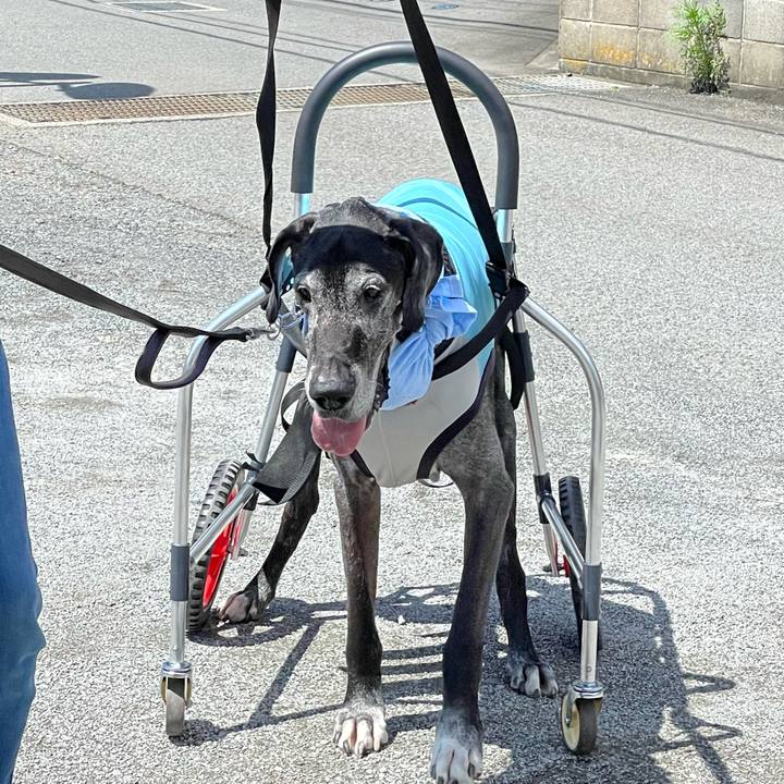 D355352a ded2 4100 bb9e fbc152874715 1658094655661