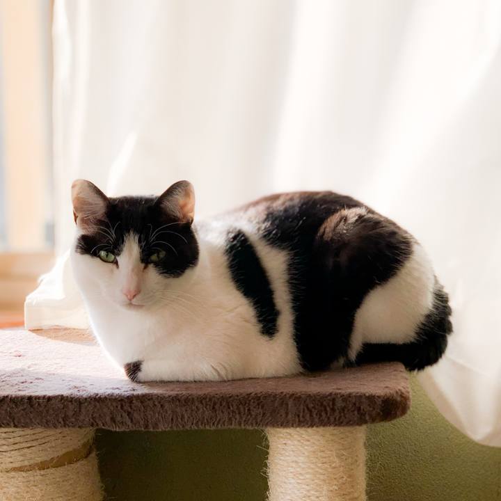 D355368f aa9d 4c63 b986 44cd49d6bfd2 1589330430468