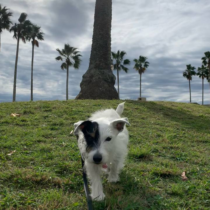 D3553982 9c5a 4feb 9442 dcc9dace7136 1699667692353