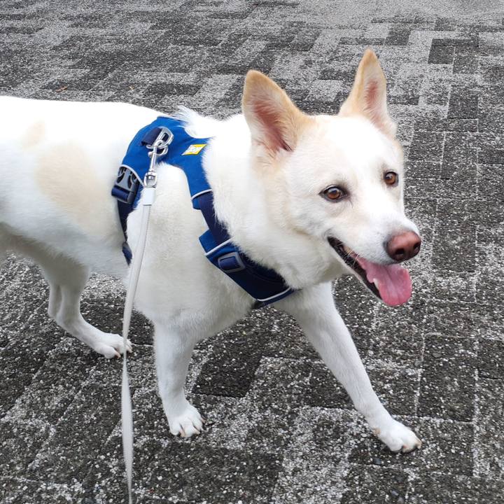 D3558509 c7de 4c62 8714 923291508451 1694712765434