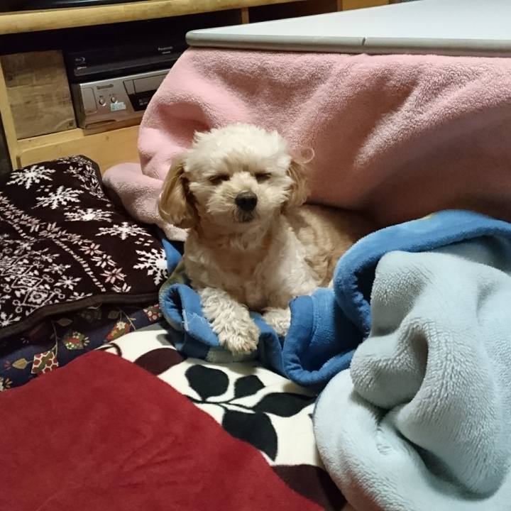 D3559ff1 99bf 4334 97f7 2308dda57a90 1541238373838