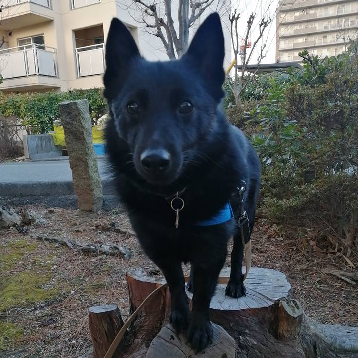 D355baa8 f340 4577 a745 69a977c6787d 1612304108308