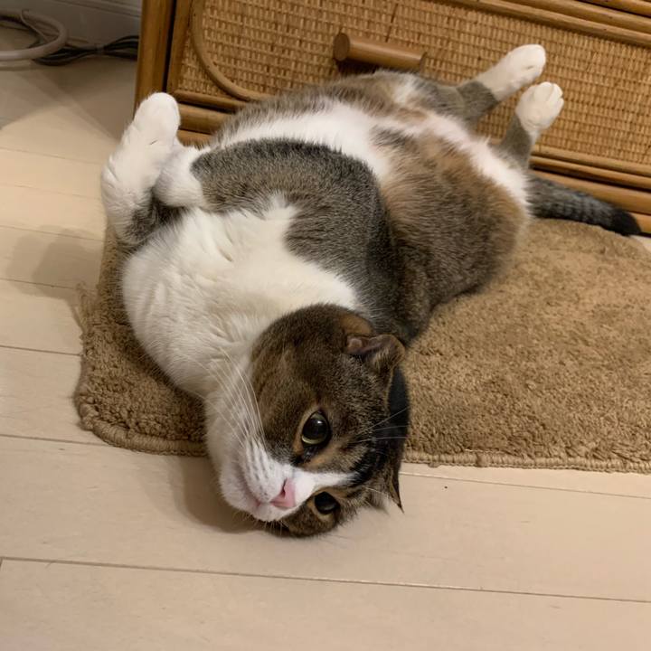 D355fbff a088 445d 9f7f 697cccccf44f 1614266207407