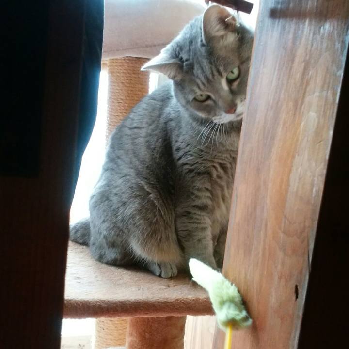 D355fcc7 664a 433c a4c8 e2d33c4c8ae3 1552227360594