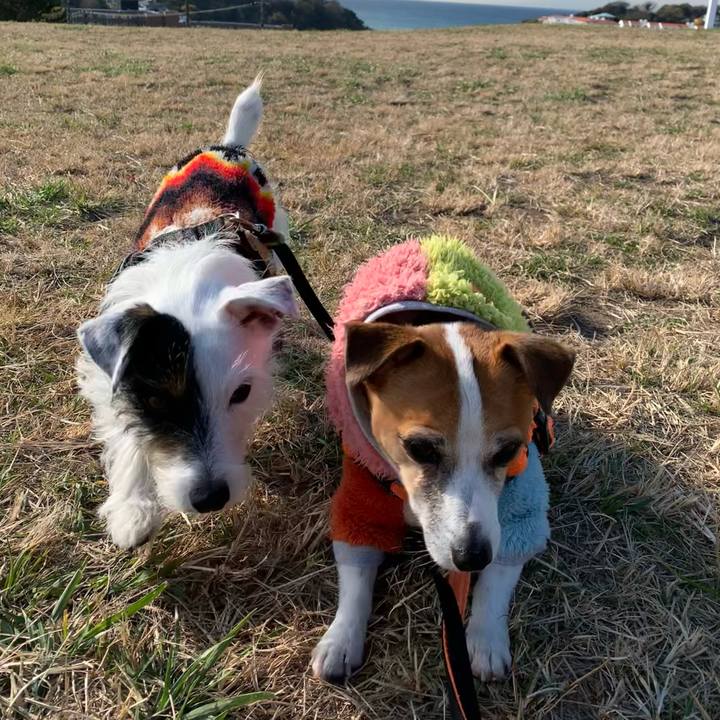 D3560823 b1d6 4939 bd40 52aff1a78ed3 1607910434309