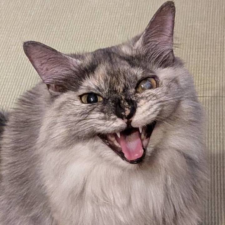 D35631cf 7881 4144 a0d3 afb339427d95 1748045152791