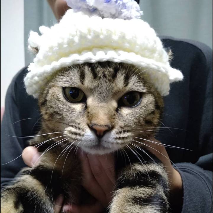 D35647f6 2280 4c71 a3f3 c741203c0076 1701040513708