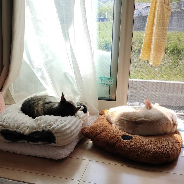 D356487c e1e4 48d3 89a6 21337d2f0367 1681959256533