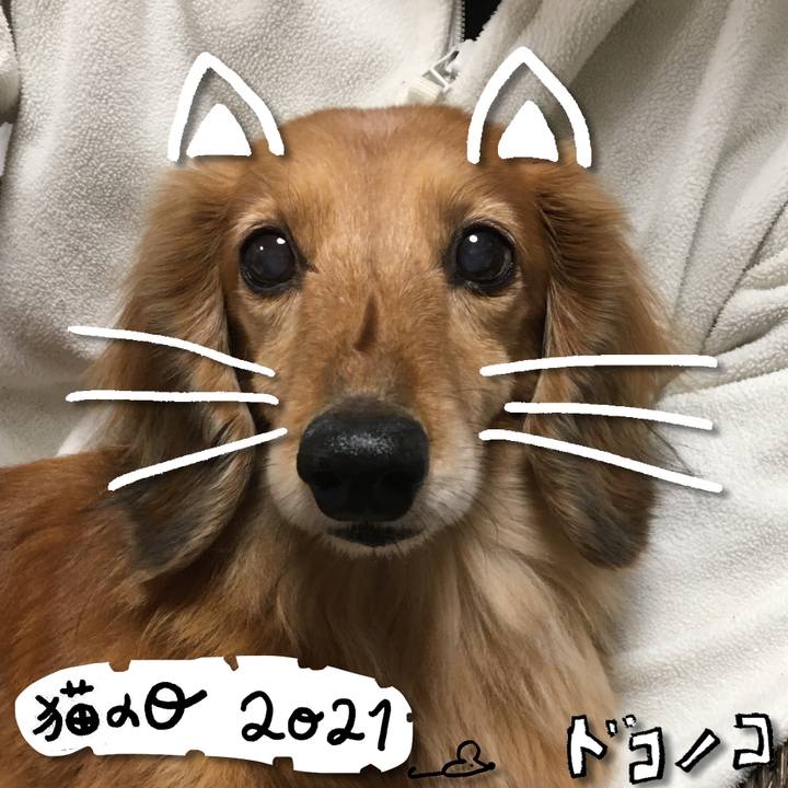 D356568b 326d 4715 a45e 4dd37def46e9 1613999454274