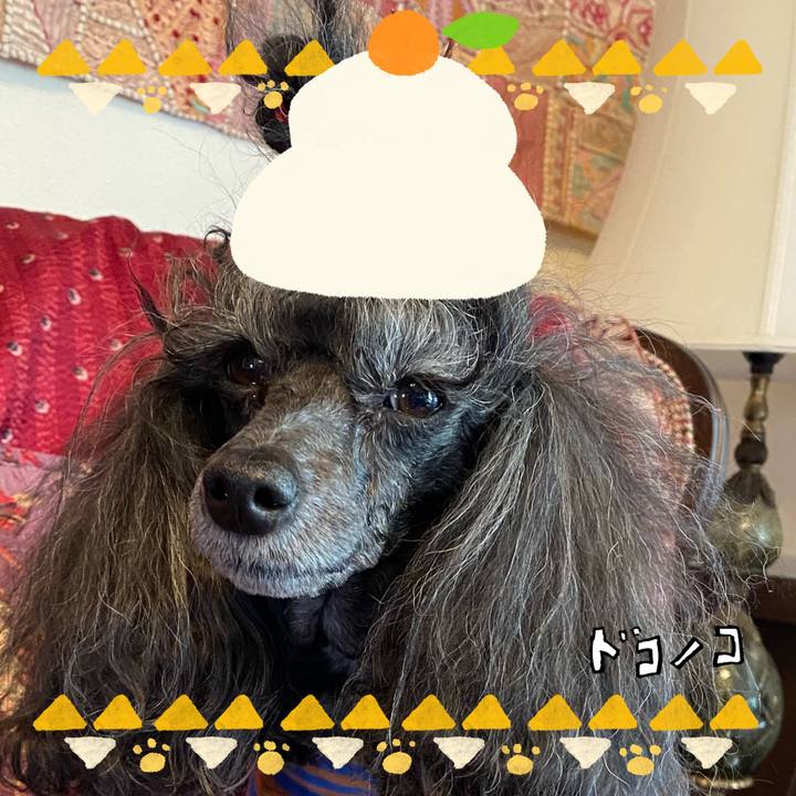 D3567cff 1922 4b14 8896 d41e52218407 1704258804288