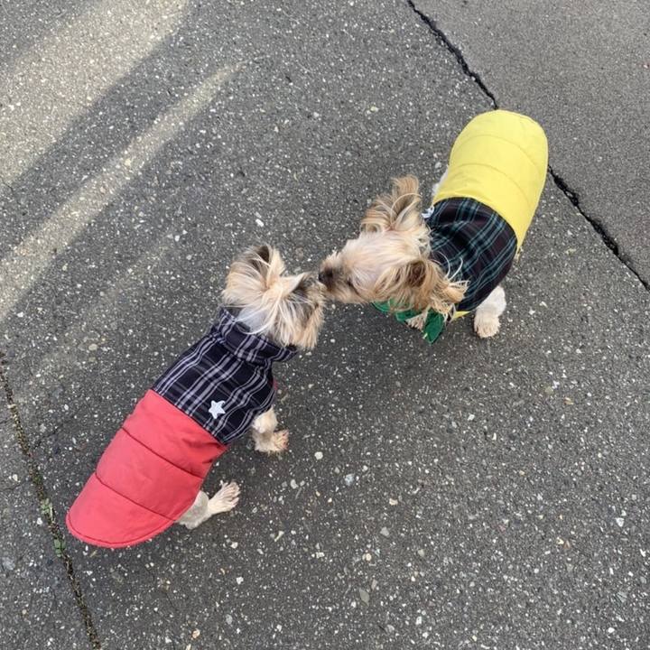 D3569789 cfe9 4038 94ce 58d7bbfa398c 1731575857460