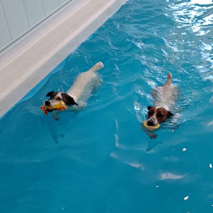 D3574b43 1e15 4cd6 b80d 61304ea586c6 1626591475901