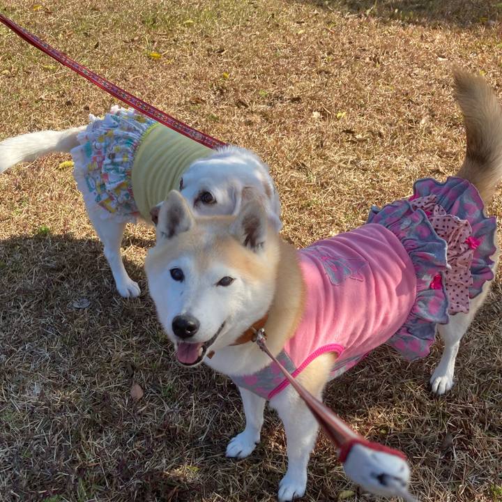 D3577319 3144 4a86 9c26 c57874f37c33 1645372842982