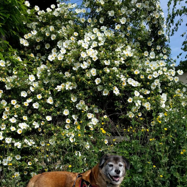 D357a14d 8878 4843 8985 6496d6728238 1556933023406