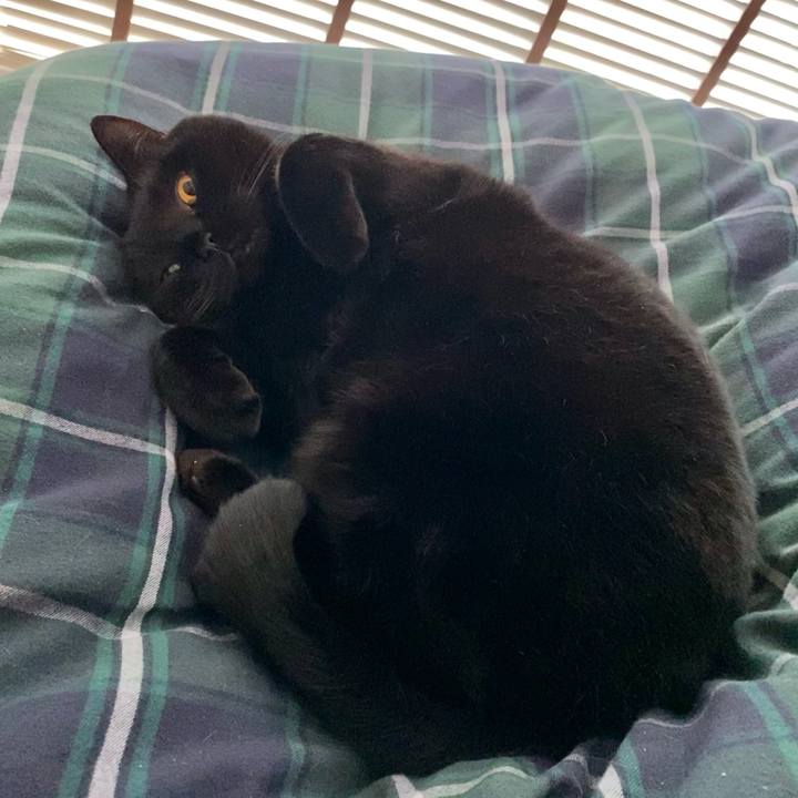 D357e7f0 89ce 4acd 8497 4d42d7d1687b 1642684878156