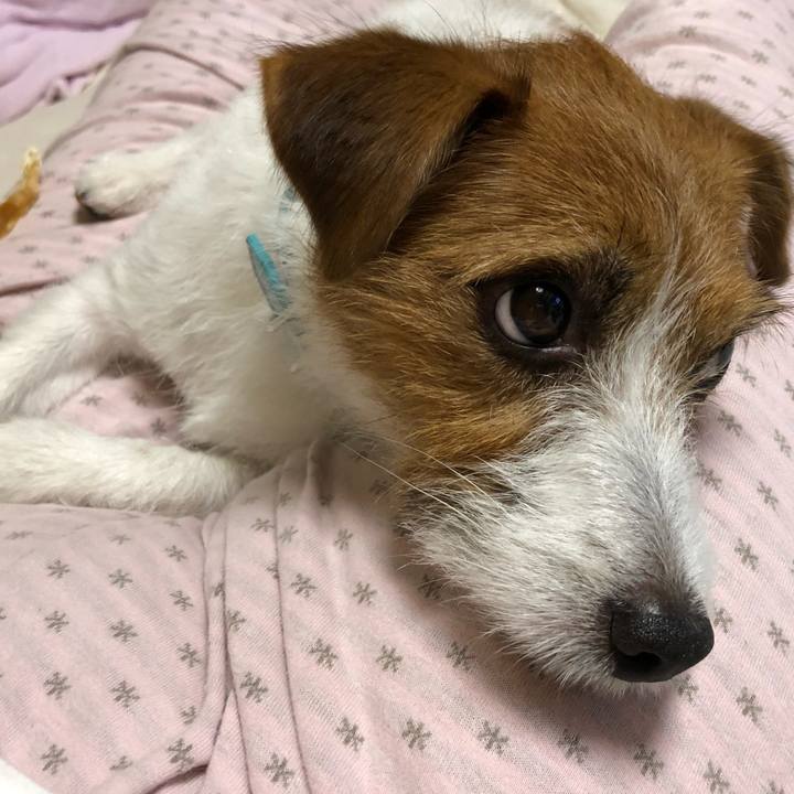 D357fbf9 c2f8 47cc ba40 caedc4aad814 1533990720863