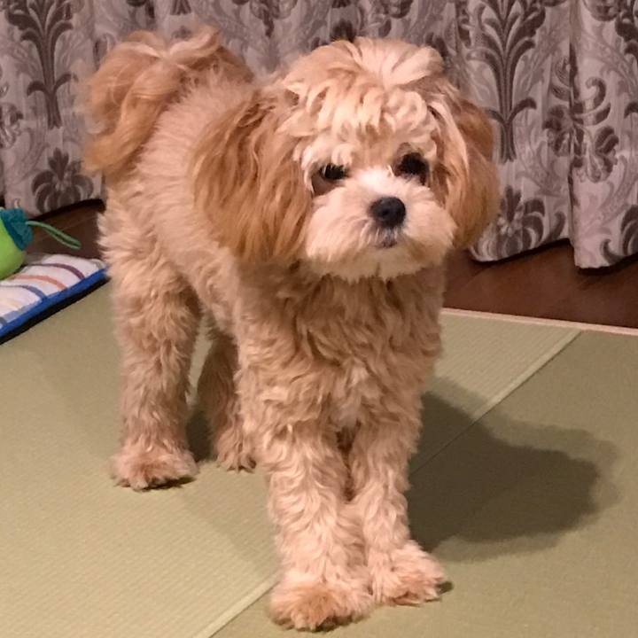 D3580396 076c 42bf 8439 2619dfe0362e 1516484736532