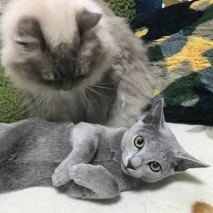 D3581280 8a81 4981 b464 5c098afdc4aa 1510489210153