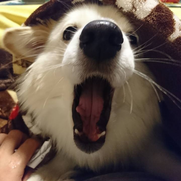 D35820bc 57d9 4675 a8bf 5ac40d06d363 1511469783699