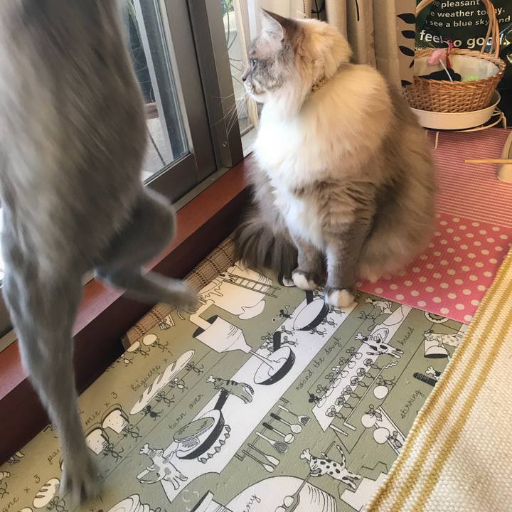 D3582702 cb07 4012 89d9 94ef9f173d8e 1514627326460