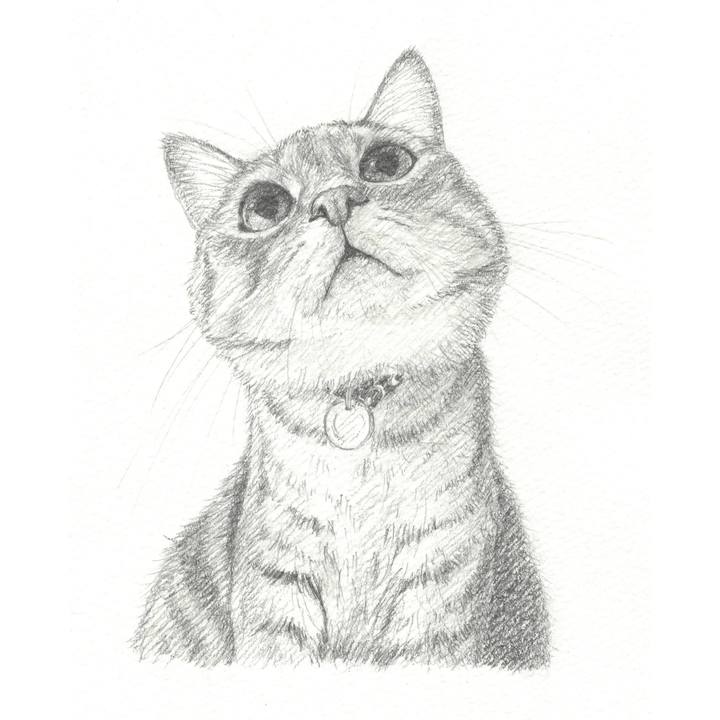 D3583ad6 5878 4956 935c 8d062d0ec35d 1545048973012