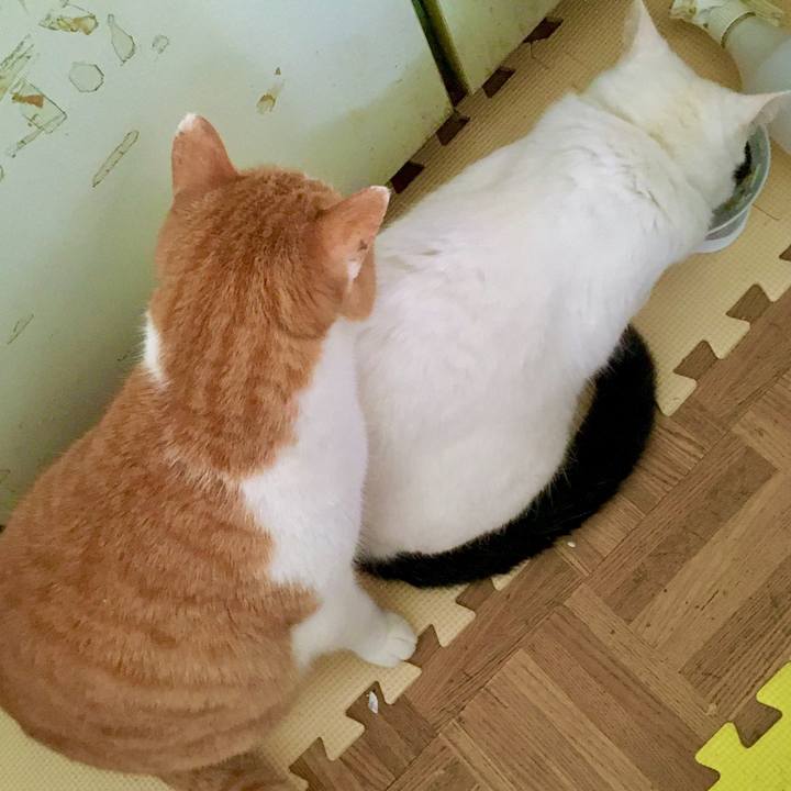 D3585562 6de5 4350 8f1a 1299fabb71f6 1586501332525