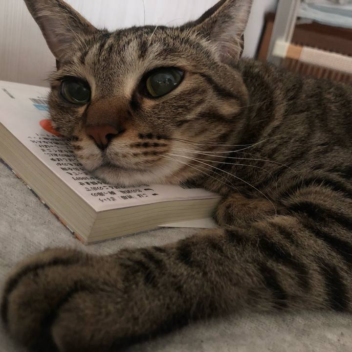 D3585b17 b490 47ec bd02 1c356d16d368 1621065178423