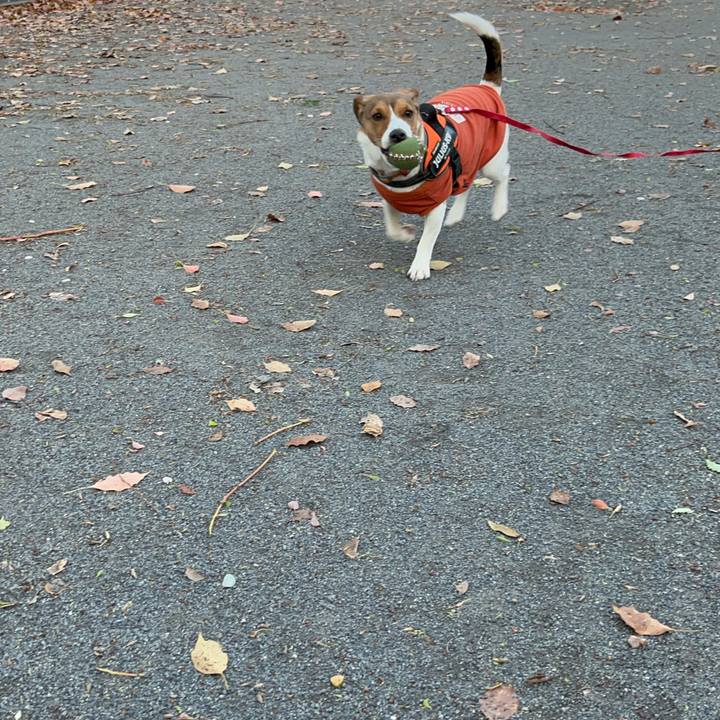 D3586d0f 8507 4142 b071 1d15c3b9c022 1712720531802