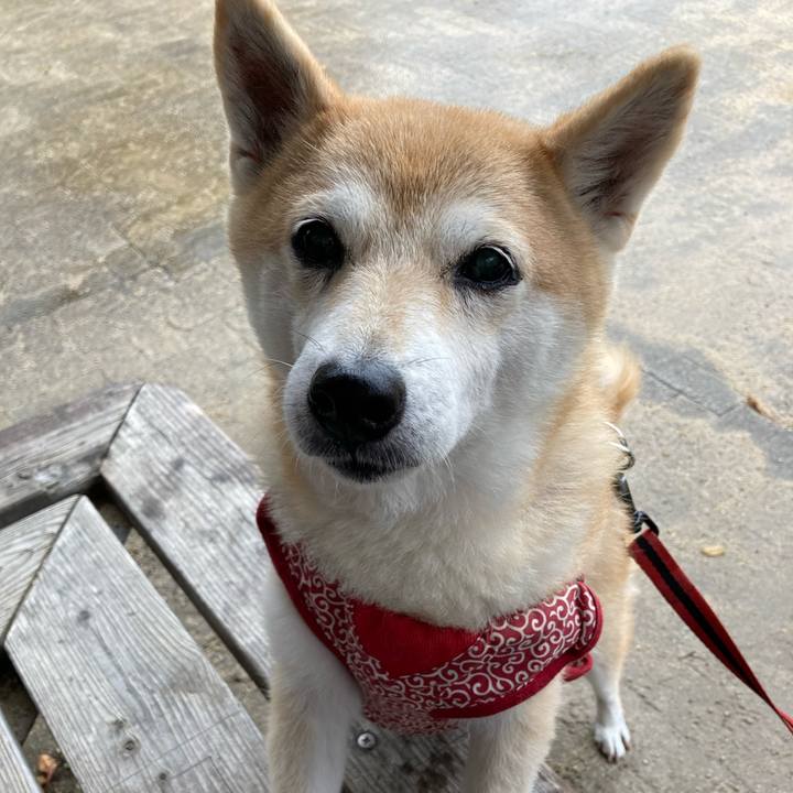 D35895c4 fa19 4f7b a3e7 e8e40e29c359 1636494389552