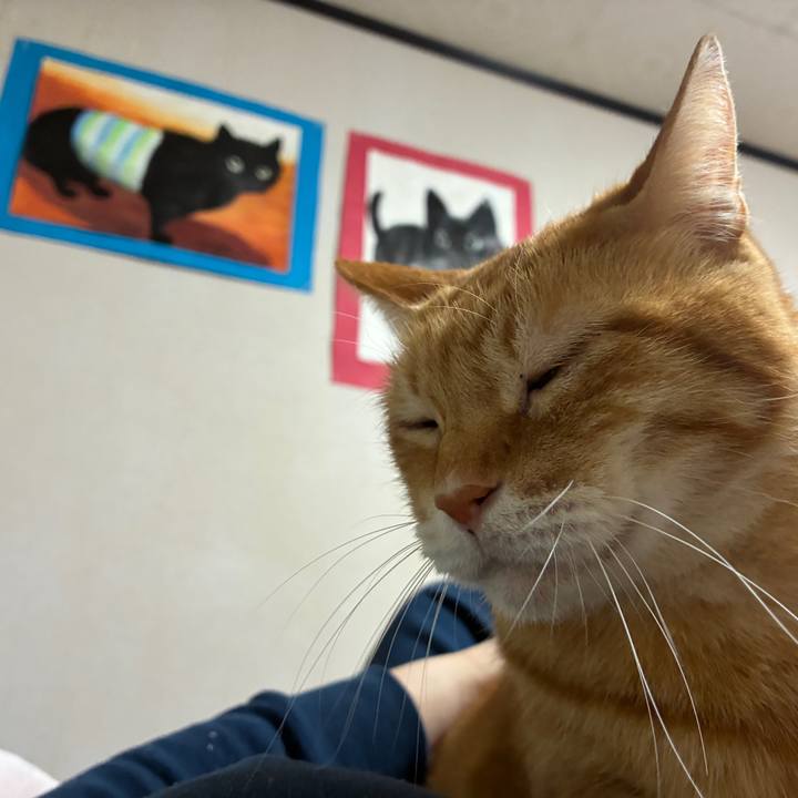 D358cb31 7645 45fe 9a00 07e634e50019 1762342533849