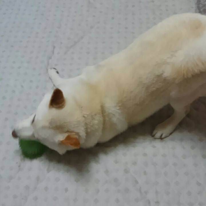 D358f723 d3ea 42ae 95c2 699812f45aef 1527336346515