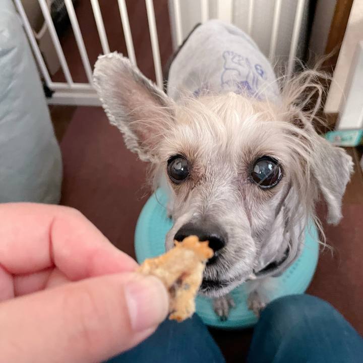 D3591a38 4279 4097 9f60 5314e7c57600 1773740630402