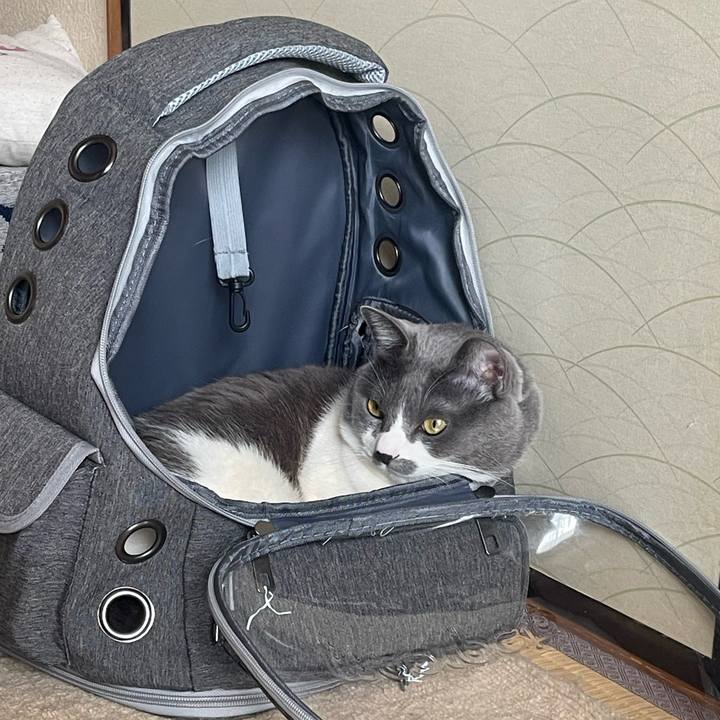 D3592efb 3448 42bb 9019 0d944103fa67 1707625274047