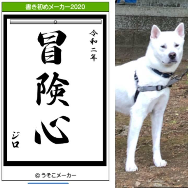 D359db75 1854 4bfd 98f1 586784e11803 1577870467078