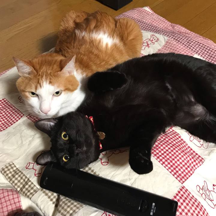 D359e1b6 3d33 4b80 84fa 51cbe640ca4b 1582882890985