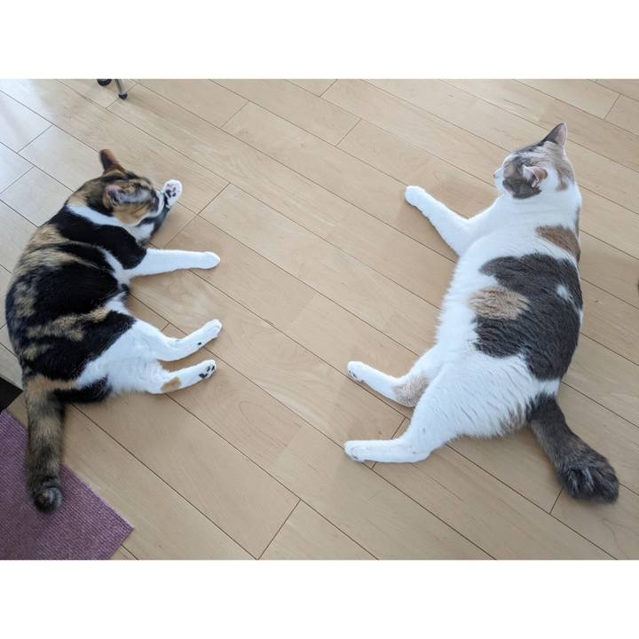 D35a011e 4073 4430 9715 a8bfb8de0a8b 1688186045938