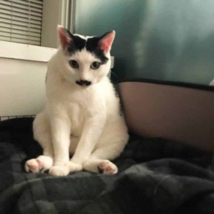 D35a13af 12c6 49ec 8f00 c7c25efe5b9c 1515549956279